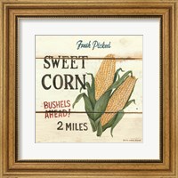 Framed Fresh Picked Sweet Corn