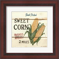 Framed Fresh Picked Sweet Corn