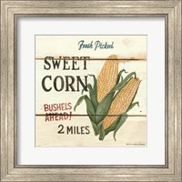 Framed Fresh Picked Sweet Corn