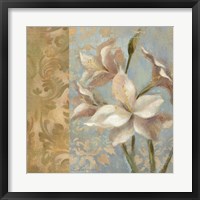 Framed Amaryllis on Soft Blue