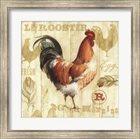 Framed Joli Rooster I