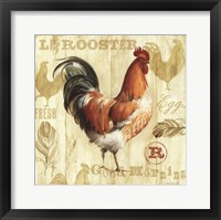 Joli Rooster I Framed Print