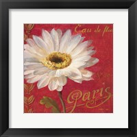 Framed Paris Blossom I