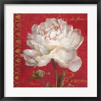 Framed Paris Blossom IV