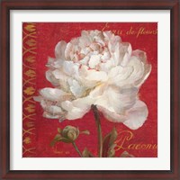 Framed Paris Blossom IV