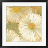 Framed Daisy Story Square I