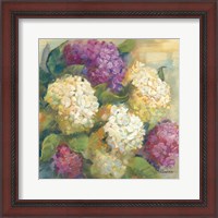 Framed Hydrangea Delight II