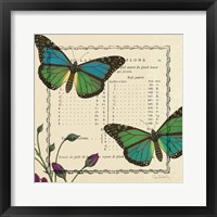 Summer Pages IV Framed Print