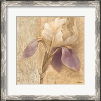 Framed Brocade Iris