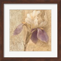 Framed Brocade Iris