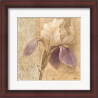 Framed 'Brocade Iris' border=