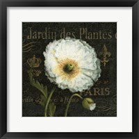 Botanical Garden I Framed Print