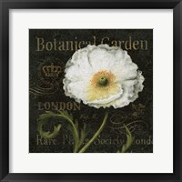 Botanical Garden II Framed Print