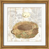 Framed Botanical Nest I