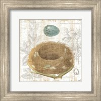 Framed Botanical Nest III