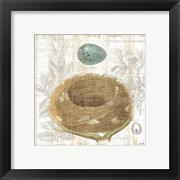 Framed 'Botanical Nest III' border=