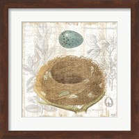 Framed Botanical Nest III