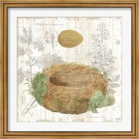 Framed Botanical Nest IV