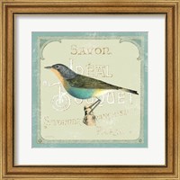 Framed Parisian Bird II