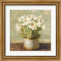 Framed 'Hatbox Tulips' border=