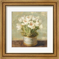 Framed Hatbox Tulips