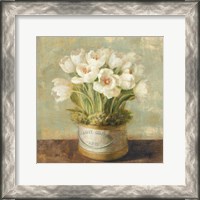 Framed Hatbox Tulips