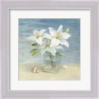 Framed Lilies and Shells