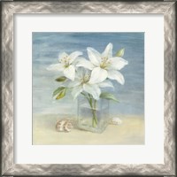 Framed Lilies and Shells