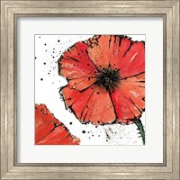 Framed Not a California Poppy on White IV