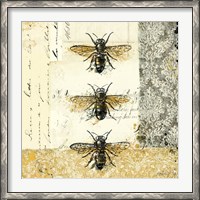 Framed Golden Bees n Butterflies No. 1