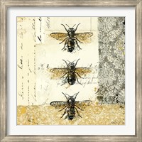 Framed Golden Bees n Butterflies No. 1