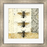 Framed 'Golden Bees n Butterflies No. 1' border=