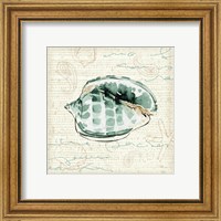 Framed 'Ocean Prints I' border=