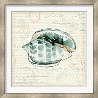 Framed Ocean Prints I
