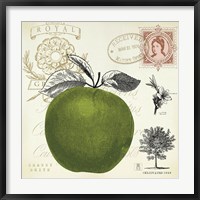 Framed Apple Notes