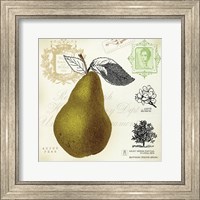 Framed Pear Notes