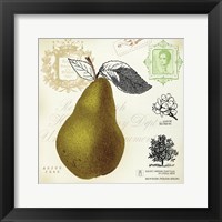 Framed Pear Notes
