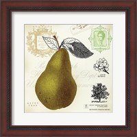 Framed Pear Notes