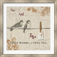 Framed Words that Count III