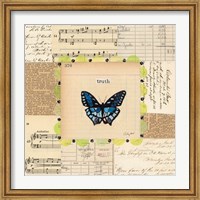 Framed Truth Butterfly