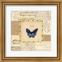 Framed Truth Butterfly