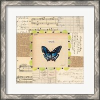 Framed Truth Butterfly