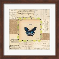Framed Truth Butterfly