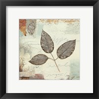 Framed 'Silver Leaves II' border=