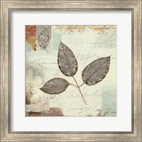 Framed Silver Leaves II