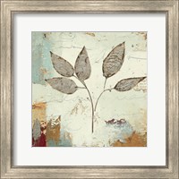 Framed Silver Leaves III