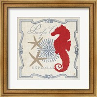 Framed Pacific Seahorse