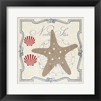 Framed Pacific Starfish