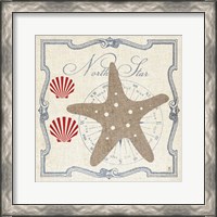 Framed Pacific Starfish