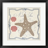 Framed Pacific Starfish